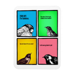 Ímã Você caras é estranho.  Não mude