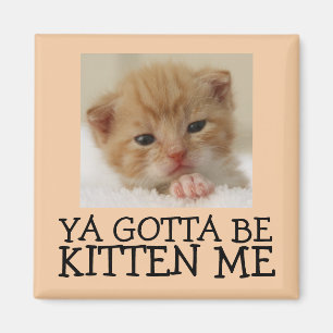 Imã Você deve ser Kitten me, Engraçados Magnets