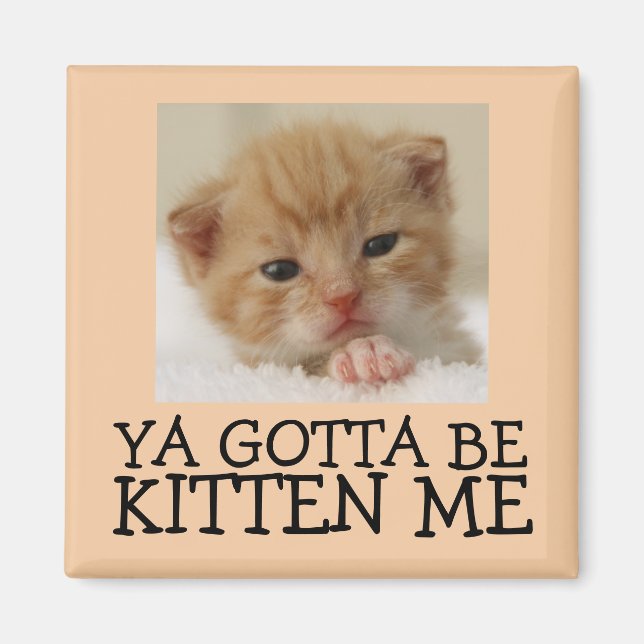 Imã Você deve ser Kitten me, Engraçados Magnets (Frente)