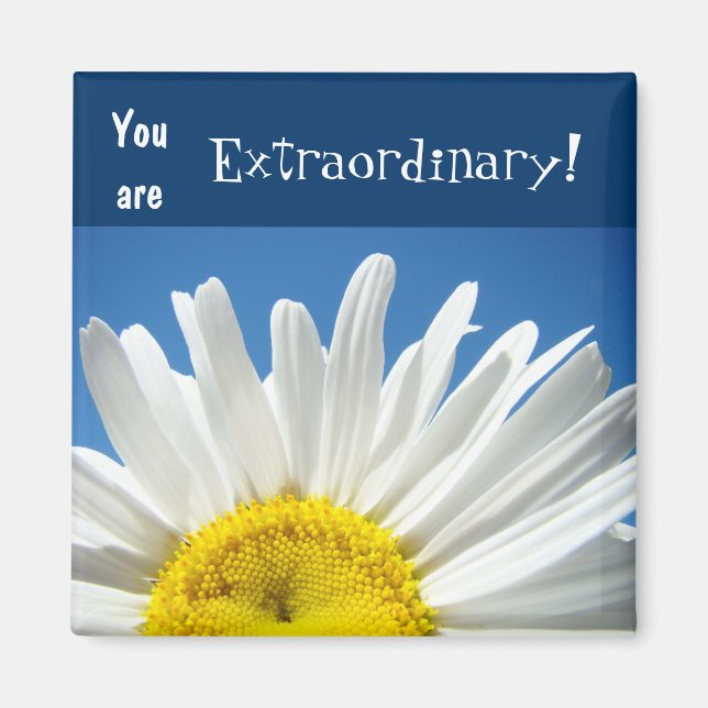 Imã Você é Extraordinário! ímãs Blue Sky Daisy (Frente)