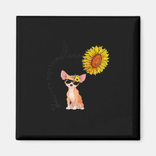 Imã Você É Meu Chihuahua Sunshine