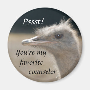 Imã Você é meu conselheiro favorito - ímã