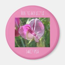 Você é meu pequeno ímã de ervilha.