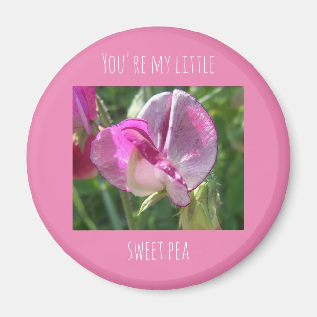 Imã Você é meu pequeno ímã de ervilha. (Frente)