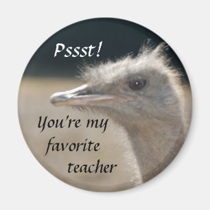 Imã Você é meu professor favorito - ímã
