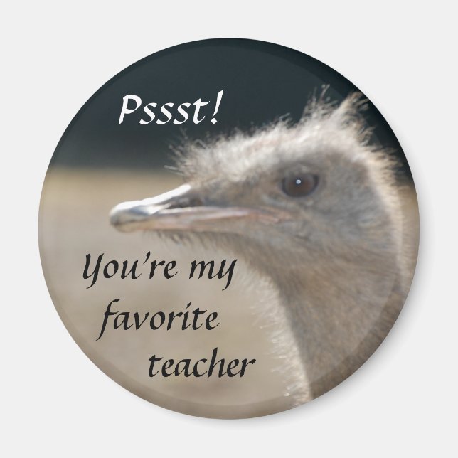 Imã Você é meu professor favorito - ímã (Frente)