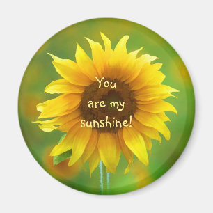 Imã Você é minha luz do sol, incentivo do girassol