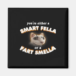 Imã Você É Um Gato Esperto Ou Um Fart Smella Meme