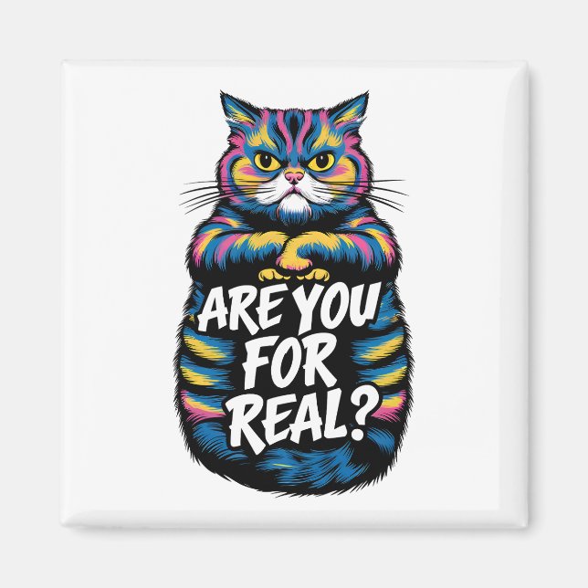 Imã Você É Um Gato Muito Engraçado. (Frente)