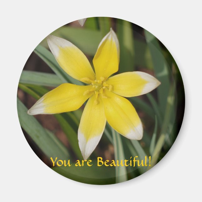 Imã Você é um magnata florista (Frente)