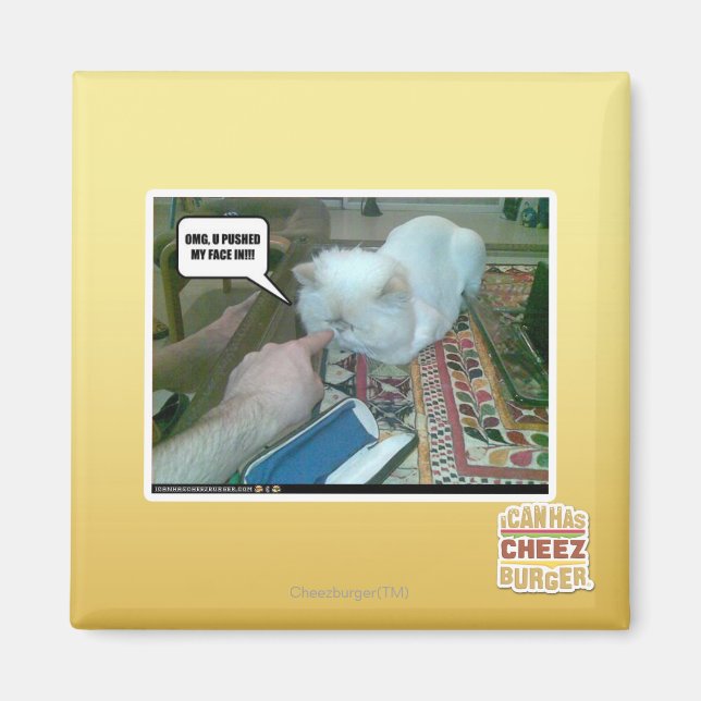 Imã Você empurrou meu rosto para dentro! (Frente)