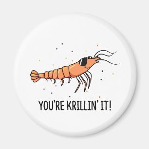 Imã Você está Krillin É um Trocadilho de Krill Engraça