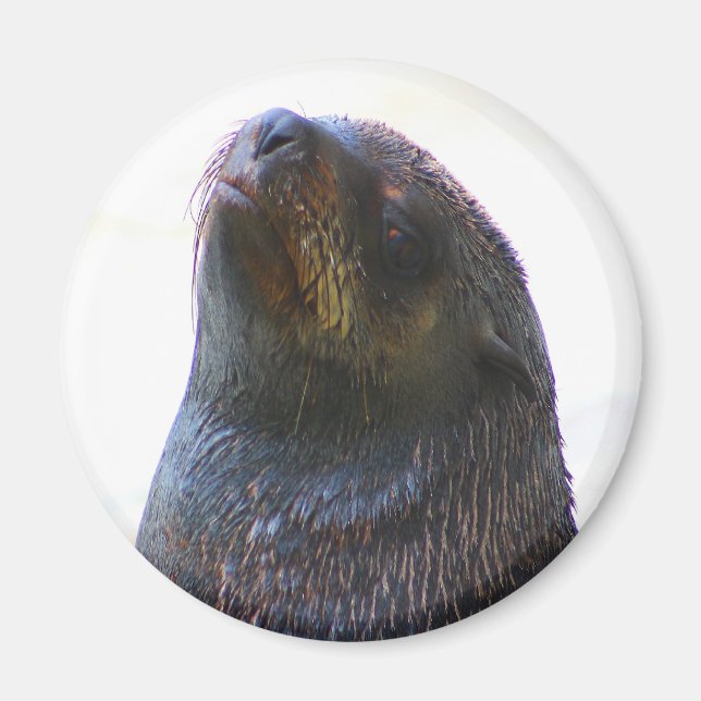 Imã Você está me olhando! (Frente)