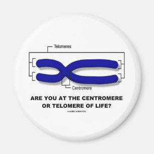 Imã Você Está No Centromere Ou Telomere Da Vida?