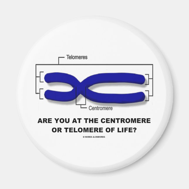 Imã Você Está No Centromere Ou Telomere Da Vida? (Frente)