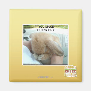 Imã Você faz o coelho gritar