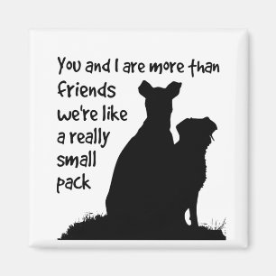 Imã Você & I mais do que amigos nós somos como um