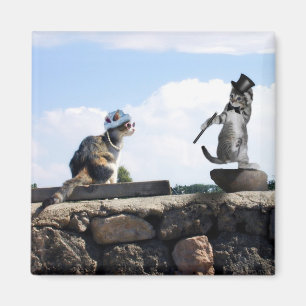 Imã Você me faz sentir como Dançando!