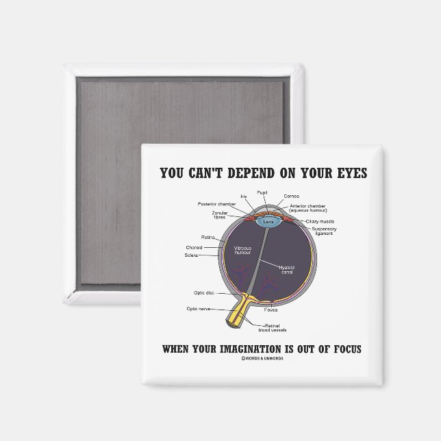 Imã Você não pode depender do foco da imaginação dos s (Front/Back)