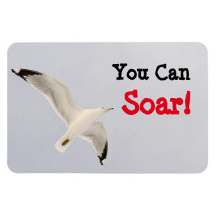 Ímã Você Pode Soar!