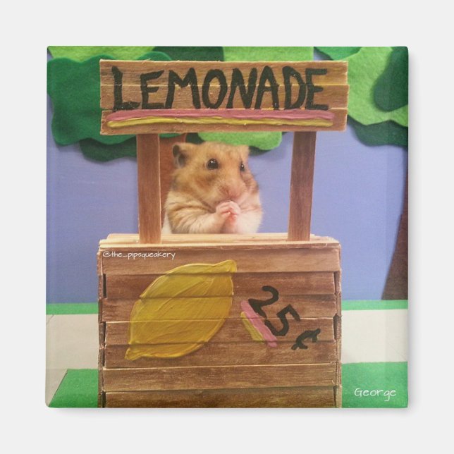 Imã Você Vai Comprar Uma Limonada? Bonito, por favor? (Frente)