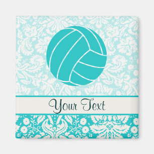Imã Voleibol da cerceta