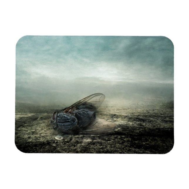 Ímã Voo 2013 (Horizontal)