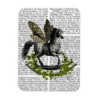 Voo 2 de Cavalo Fogueiro