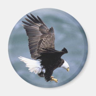 Imã Vôo de Eagle