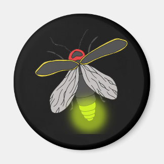 Imã voo de inseto relâmpago aceso