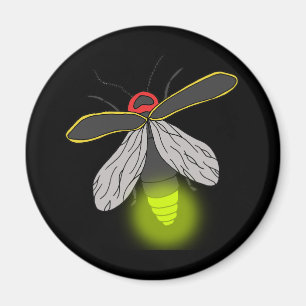Imã vôo do inseto de relâmpago iluminado