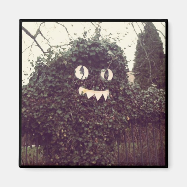 Imã Voodoo Bush (Frente)