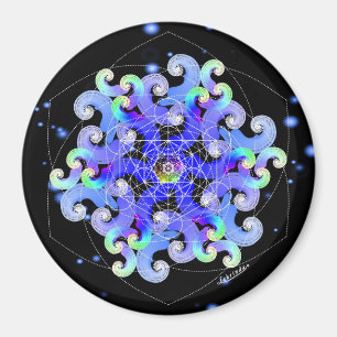 Imã Vortex da vitalidade