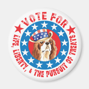 Imã Voto para Cavalier