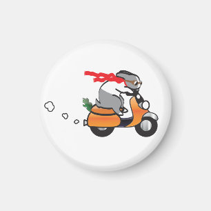 IMÃ VROOM