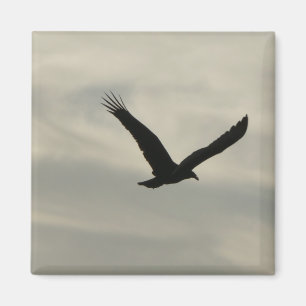 Imã Vulture.