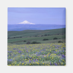 Imã WA, Condado de Klickitat, Dalles Mountain Ranch,