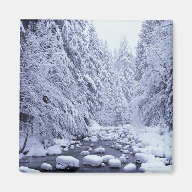 Imã WA, Floresta Nacional Mount Baker-Snoqualmie, (Frente)