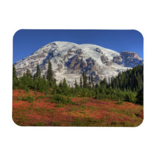 Ímã WA, Parque Nacional do Mt. Rainier, Vale do Paraí
