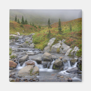 Imã WA, Parque Nacional Mt. Rainier, Edith Creek