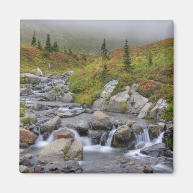 Imã WA, Parque Nacional Mt. Rainier, Edith Creek (Frente)