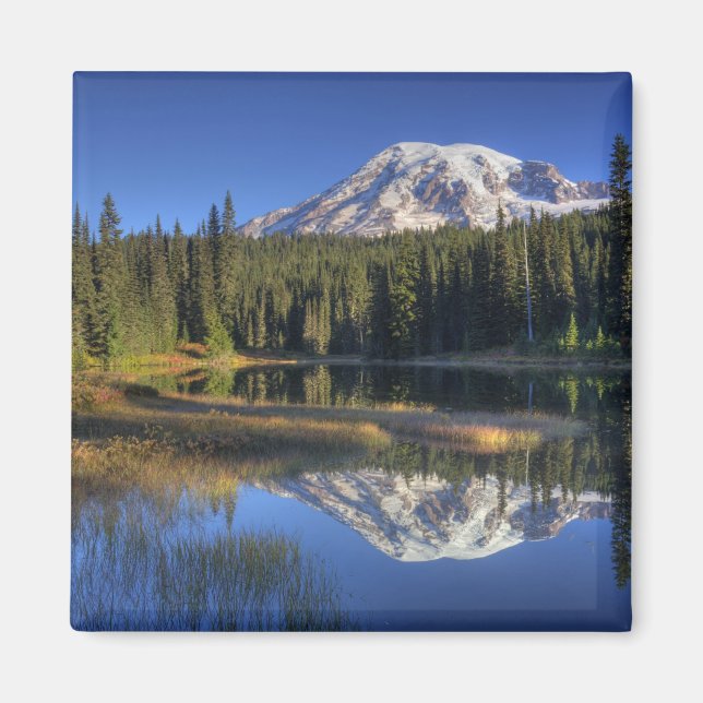 Imã WA, Parque Nacional Mt. Rainier, Mt. Rainier (Frente)