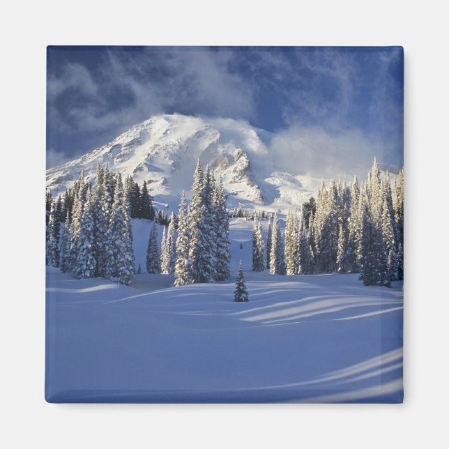 Imã WA, Parque Nacional Mt. Rainier, Mt. Rainier e Par (Frente)