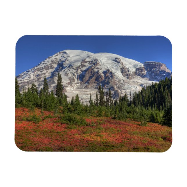 Ímã WA, Parque Nacional Mt. Rainier, Vale do Paraíso (Horizontal)