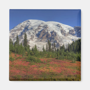 Imã WA, Parque Nacional Mt. Rainier, Vale do Paraíso