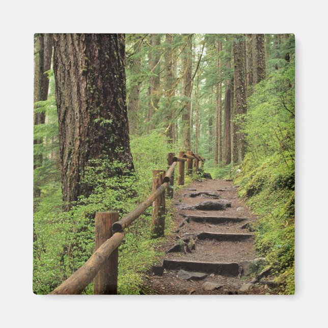Imã WA, Parque Nacional Olímpico, Vale de Sol Duc, flo (Frente)