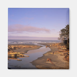 Imã WA, Parque Nacional Olympic, Praia Kalaloch e Kala