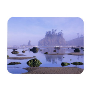 Ímã WA, Parque Nacional Olympic, Segunda Praia,