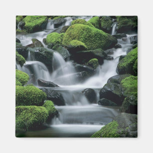 Imã WA, Parque Nacional Olympic, Vale de Sol Duc, riac