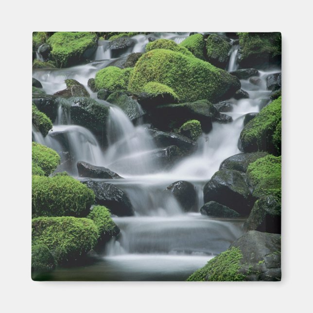 Imã WA, Parque Nacional Olympic, Vale de Sol Duc, riac (Frente)